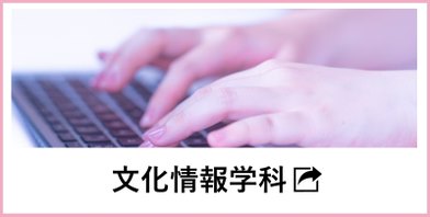 文化情報学科